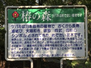横浜こどもの国椿の森看板