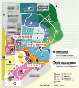 筑波実験植物園内地図（HPより）