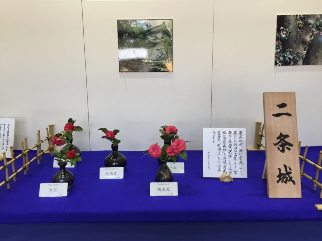京都府立植物園椿展20170325