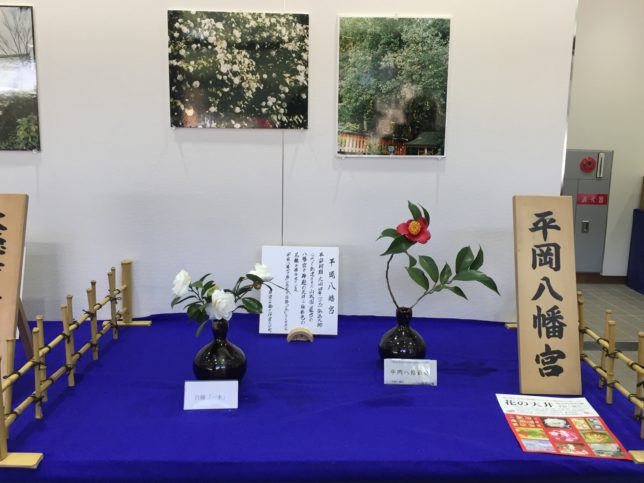 京都府立植物園椿展20170325